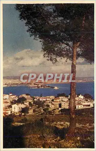 Cartes postales moderne Mallorca Espana Palma desde la Bonanova