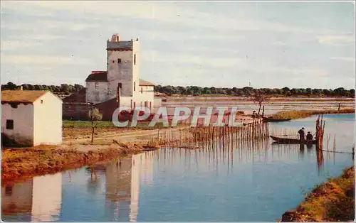 Cartes postales moderne Valencia l'Albufera detail