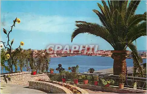 Cartes postales moderne Mallorca Balcares Espana Palma