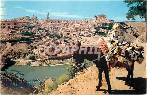 Cartes postales moderne Toledo Vue General Ane Donkey