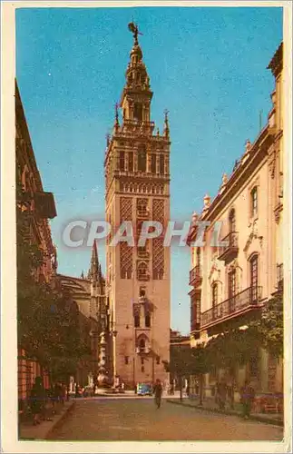 Cartes postales moderne Sevilla la Gtralda