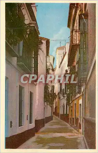 Cartes postales moderne Sevilla Rue Pimienta