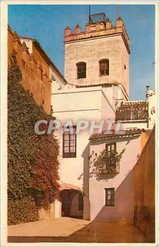 Cartes postales moderne Sevilla Arc et Donjon de Juiverie