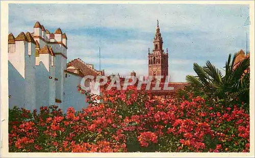 Cartes postales moderne Sevilla la Giralda des l'Alcazar