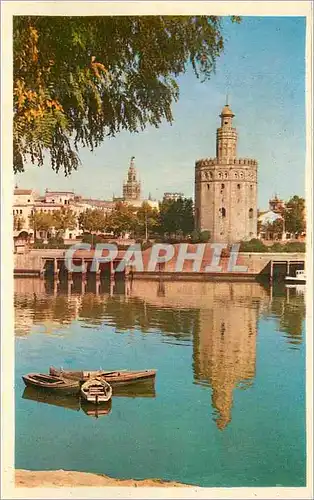 Cartes postales moderne Sevilla Tour de l'Or