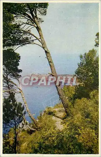 Cartes postales moderne Mallorca Espana La Foradada