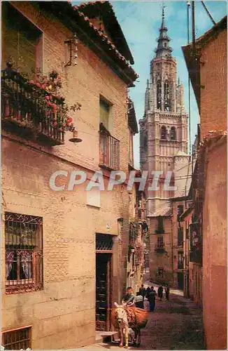 Cartes postales moderne Toledo Rue Saint Isabelle Ane Donkey