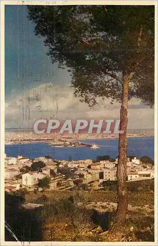 Cartes postales moderne Mallorca Palma desde la Bonanava