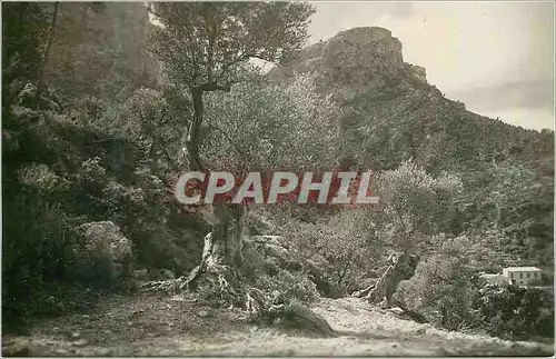 Cartes postales moderne Mallorca Alrededores de Deya