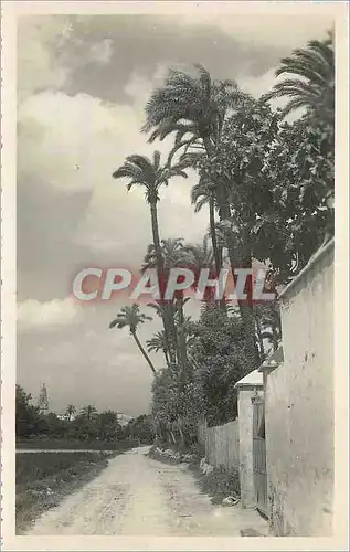 Cartes postales moderne Murcia Passage de la Huerta