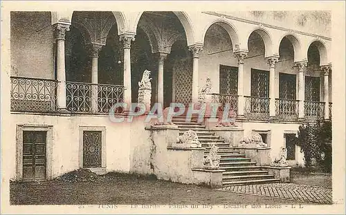 Cartes postales Tunis Palais du Bey Escallier des Lions