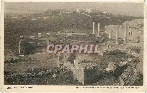 Cartes postales Carthage Villas Romaines Maison de la Mosaique a la Voliere