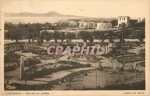 Cartes postales Carthage Vue sur les Jardins