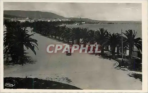 Ansichtskarte AK Bizerte Tunisie Vue de la Plage