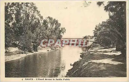 Ansichtskarte AK Gabes l'Oued devant le Jardin Public