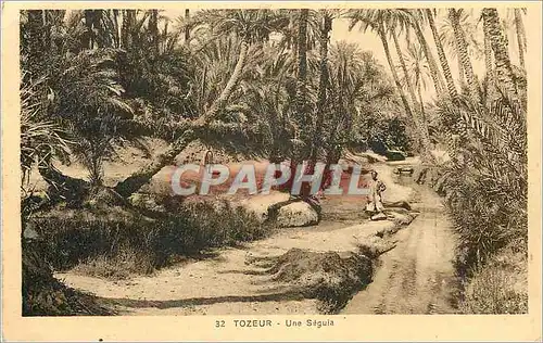 Cartes postales Tozeur une Seguia
