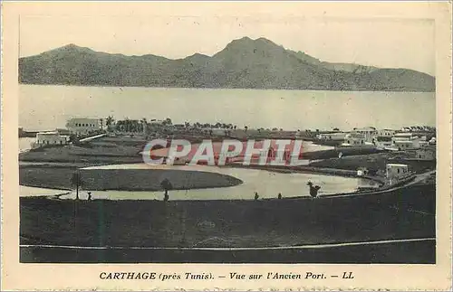 Cartes postales Carthage (pres Tunis) Vue sur l'ancien Port