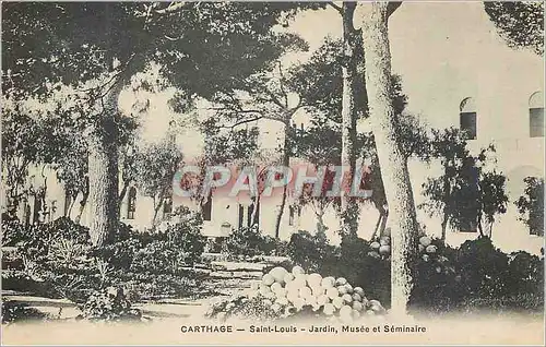 Cartes postales Carthage Saint Louis Jardin Musee et Seminaire
