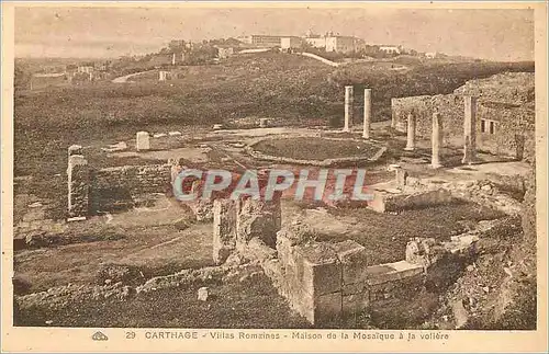 Cartes postales Carthage Villas Romaines Maison de la Mosaique a la Voliere