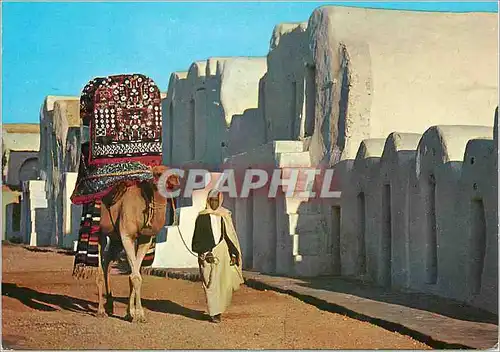 Cartes postales moderne Ksar Debbab Village Touristique