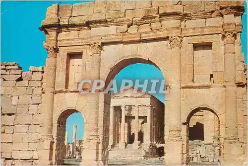 Cartes postales moderne Sbeitla le Forum