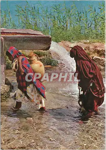 Cartes postales moderne Tunisie l'Eau au Sahara