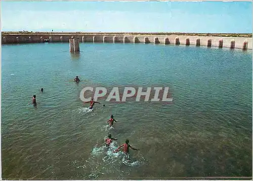 Cartes postales moderne le Bassin des Aghlabites(IXes)