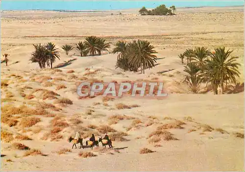 Cartes postales moderne Le Grand Sud