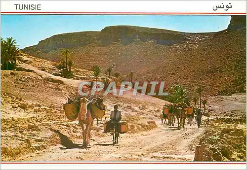 Cartes postales moderne Tunisie Piste dans le Sud