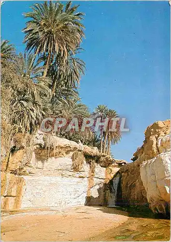 Moderne Karte Tunisie Tamerza la Cascade