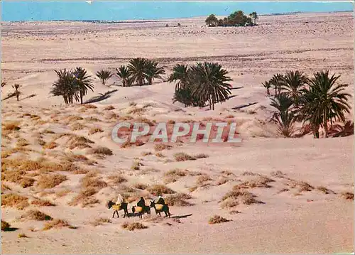 Cartes postales moderne Tunisie le Grand Sud