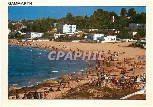 Cartes postales moderne Tunisie la Plage de Gammarth