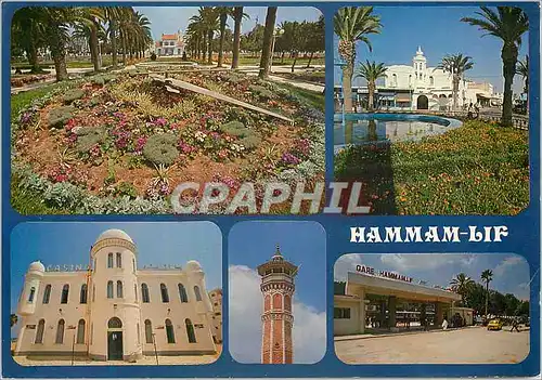 Cartes postales moderne Tunisie Hammam Lif