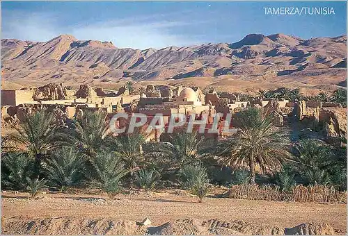 Cartes postales moderne Tunisia Tamerza