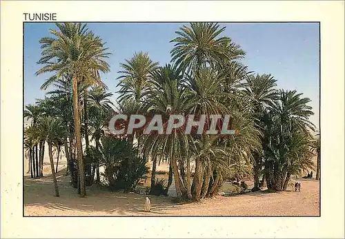 Moderne Karte Tunisie Le Sahara une Casis perdue dans les Sables