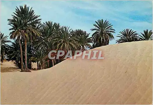 Moderne Karte Tunisie Sahara