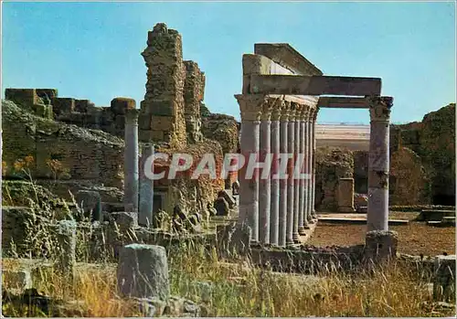 Cartes postales moderne Tuborbo Majus le Portique des Petronii