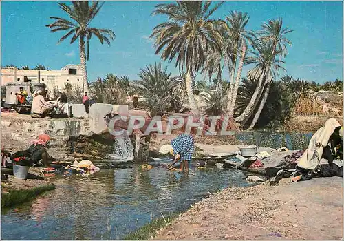 Cartes postales moderne Kebili Source dans l'Oasis