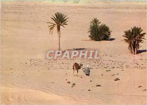 Cartes postales moderne Sud Tunisien Vers le Sahara