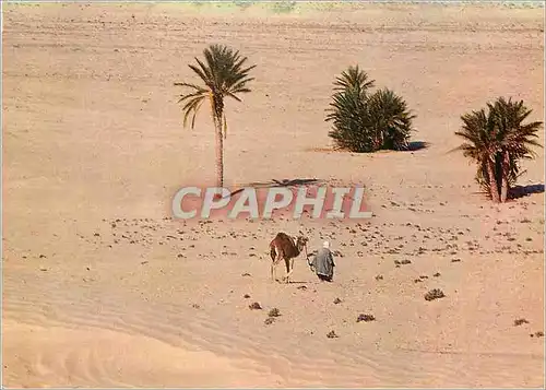 Moderne Karte Sud Tunisien Vers le Sahara