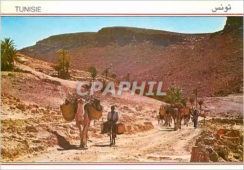 Cartes postales moderne Tunisie Piste dans le Sud