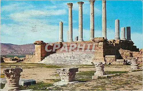 Cartes postales moderne Tuborbo Majus