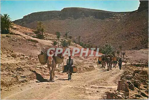 Cartes postales moderne Tunisie Piste dans le Sud