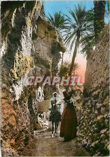 Cartes postales moderne Collection Artistique l'Afrique dans l'Oasis