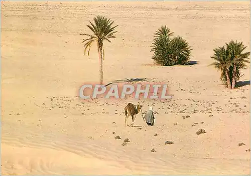 Moderne Karte Sud Tunisien vers le Sahara