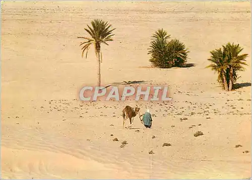 Cartes postales moderne Sud Tunisien vers le Sahara