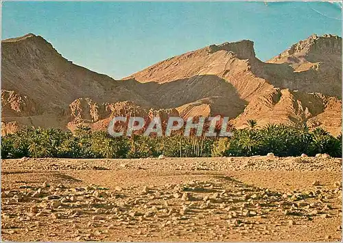 Cartes postales moderne Tunisie Paysage du Sud