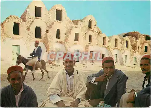 Cartes postales moderne Tunisie Ghorfas Ane Donkey