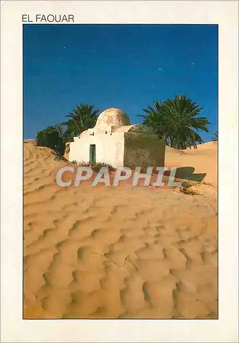 Cartes postales moderne Tunisie El Faouar