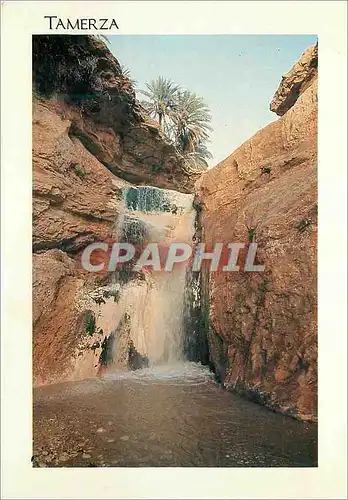 Cartes postales moderne Tamerza Charmes et douceur de Tunisie La Cascade